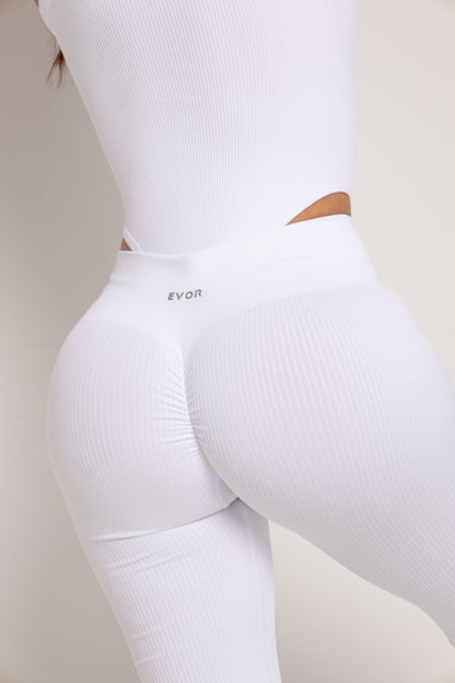 ESSENTIAL SET
